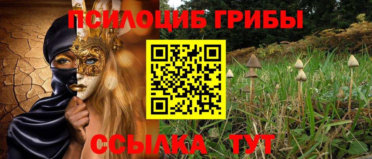 Урай  Псилоцибиновые грибы Psilocybe  Псилоцибиновые грибы Psilocybe  Вход с VPN 