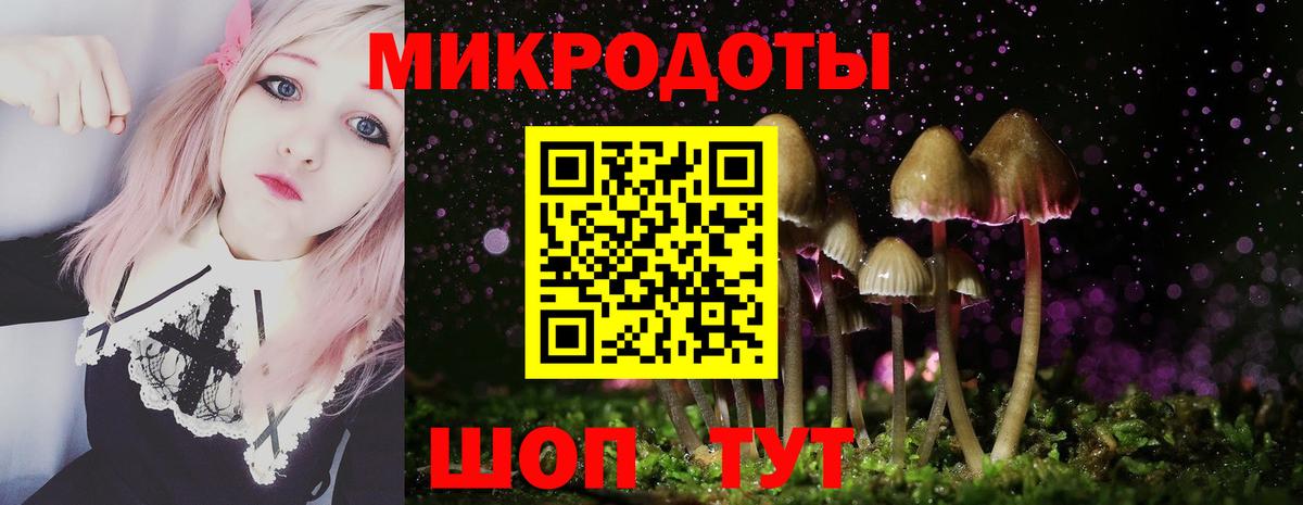 Псилоцибиновые грибы прущие грибы Урай
